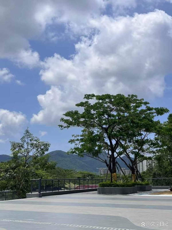 配资股中心官网 放下小农意识，学会付费利用专业的人为自己做事