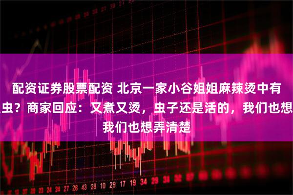 配资证券股票配资 北京一家小谷姐姐麻辣烫中有活体蛆虫？商家回应：又煮又烫，虫子还是活的，我们也想弄清楚