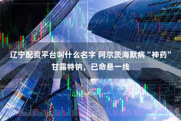 辽宁配资平台叫什么名字 阿尔茨海默病“神药”甘露特钠，已命悬一线