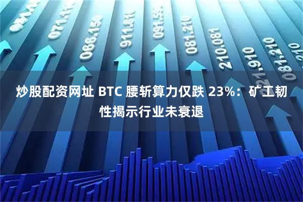炒股配资网址 BTC 腰斩算力仅跌 23%：矿工韧性揭示行业未衰退